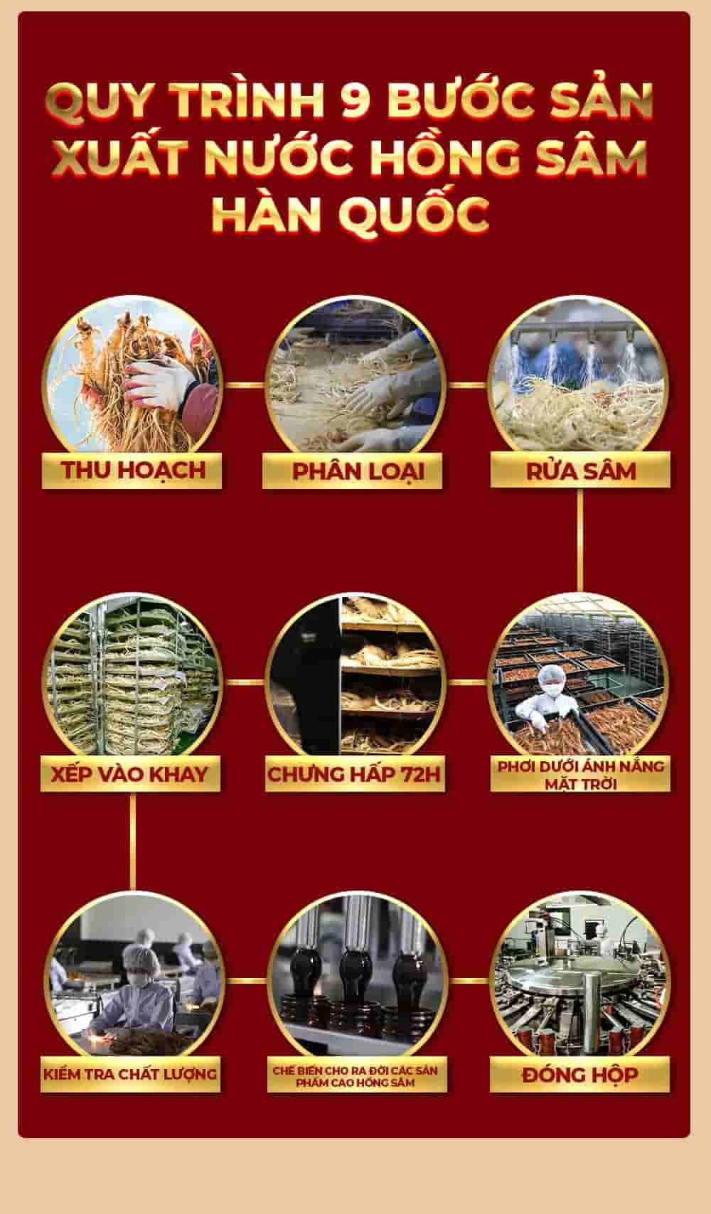 Cao Địa Sâm Chính Phủ Hàn Quốc Cao Cấp KGC Extract Limited