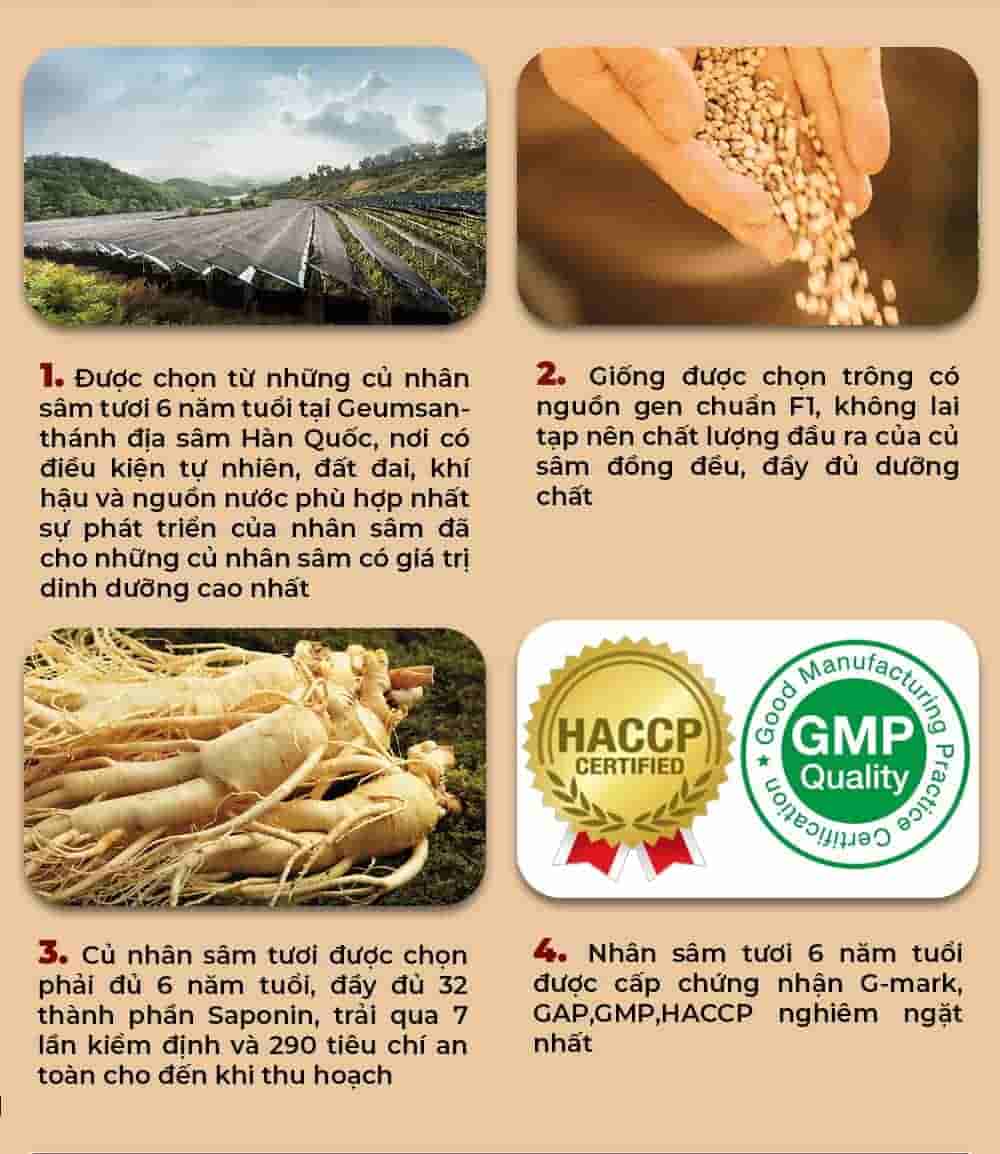 Cao Địa Sâm Chính Phủ KGC Extract Limited Lọ 100g