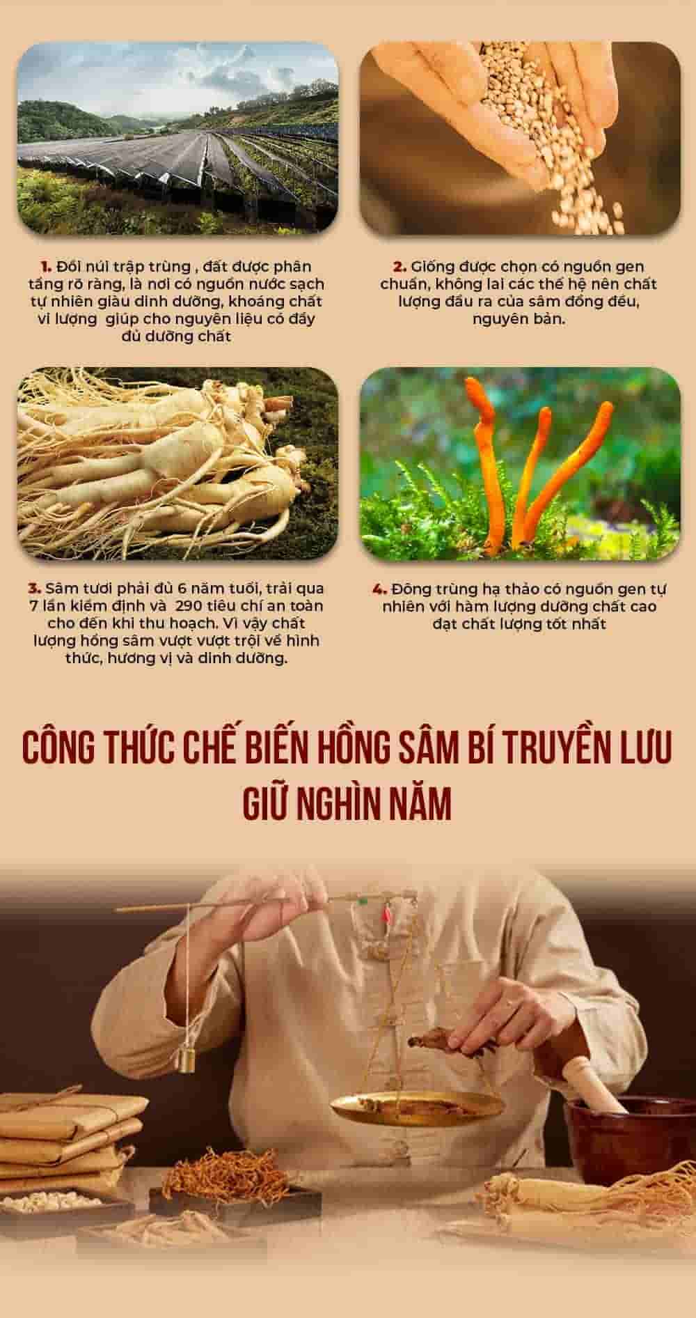 Cao Hắc Sâm Đông Trùng Hạ Thảo Hàn Quốc Hộp 2 lọ x 240g
