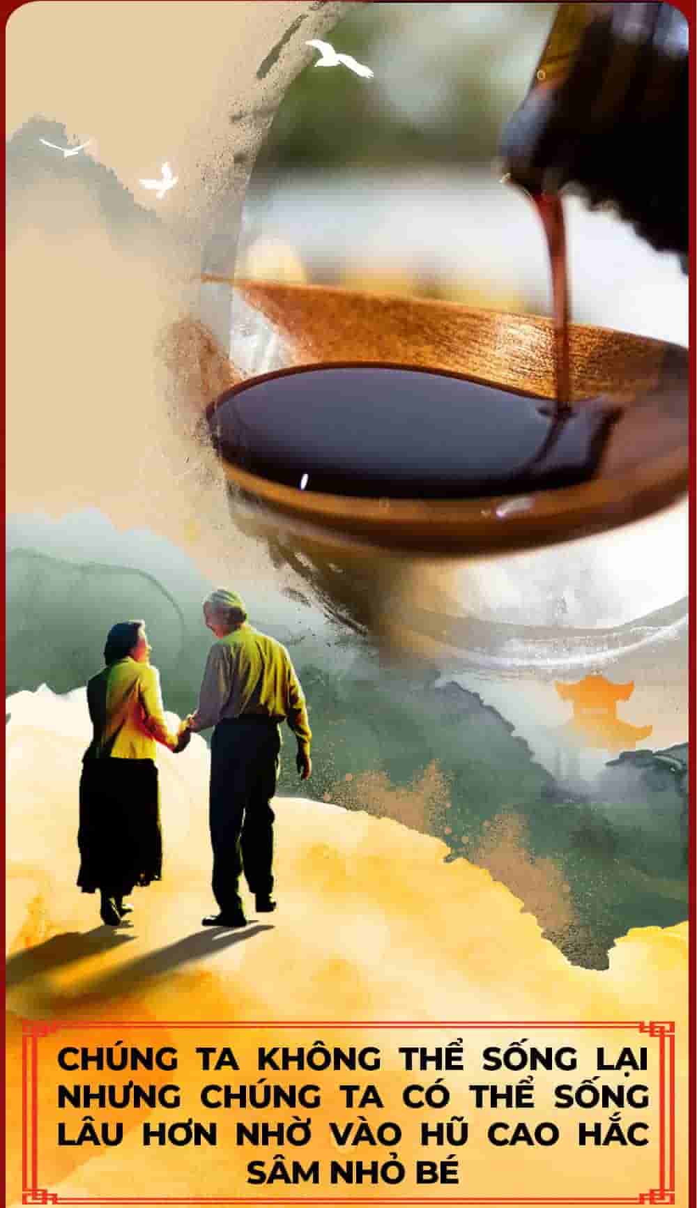 Cao Hắc Sâm Đông Trùng Hạ Thảo Hàn Quốc Hộp 2 lọ x 240g