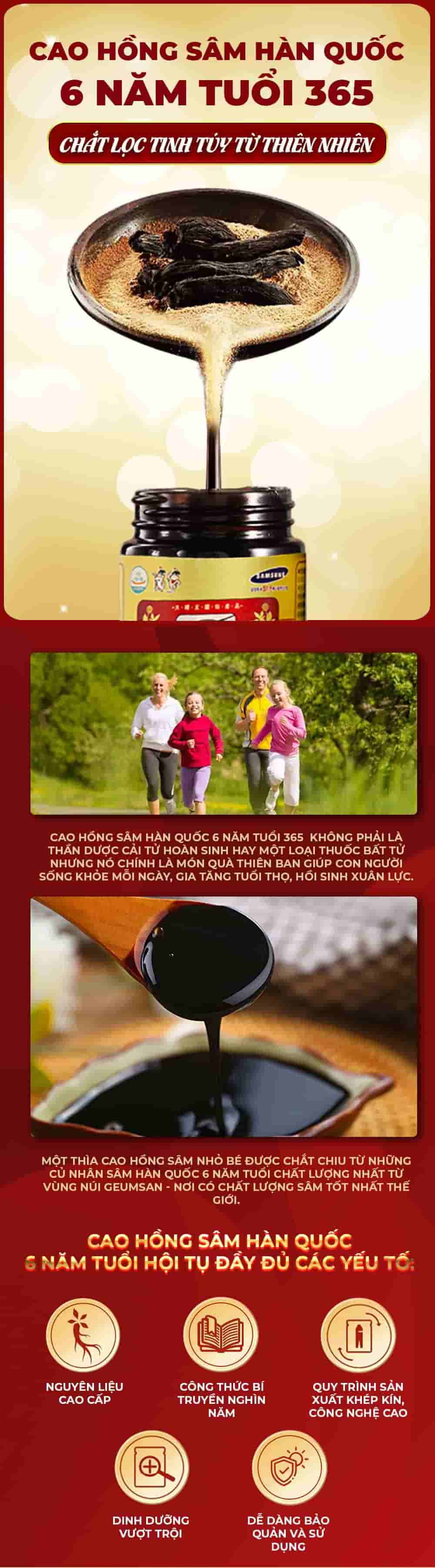 Cao Hồng Sâm 365 Hàn Quốc 6 Năm Tuổi Hộp 2 Lọ x 240g