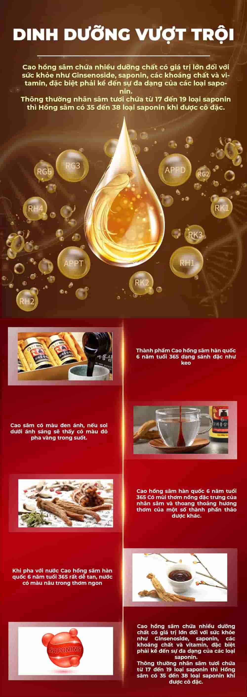 Cao Hồng Sâm 365 Hàn Quốc 6 Năm Tuổi Hộp 2 Lọ x 240g