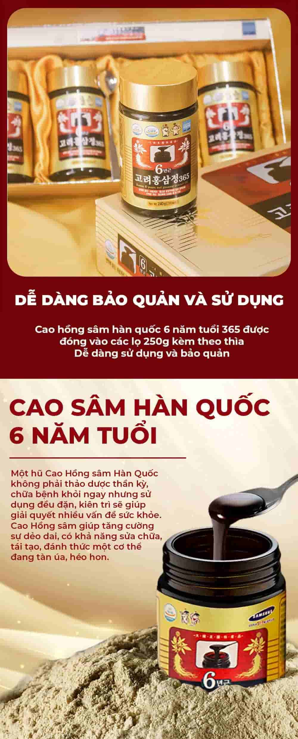 Cao Hồng Sâm 365 Hàn Quốc 6 Năm Tuổi Hộp 2 Lọ x 240g