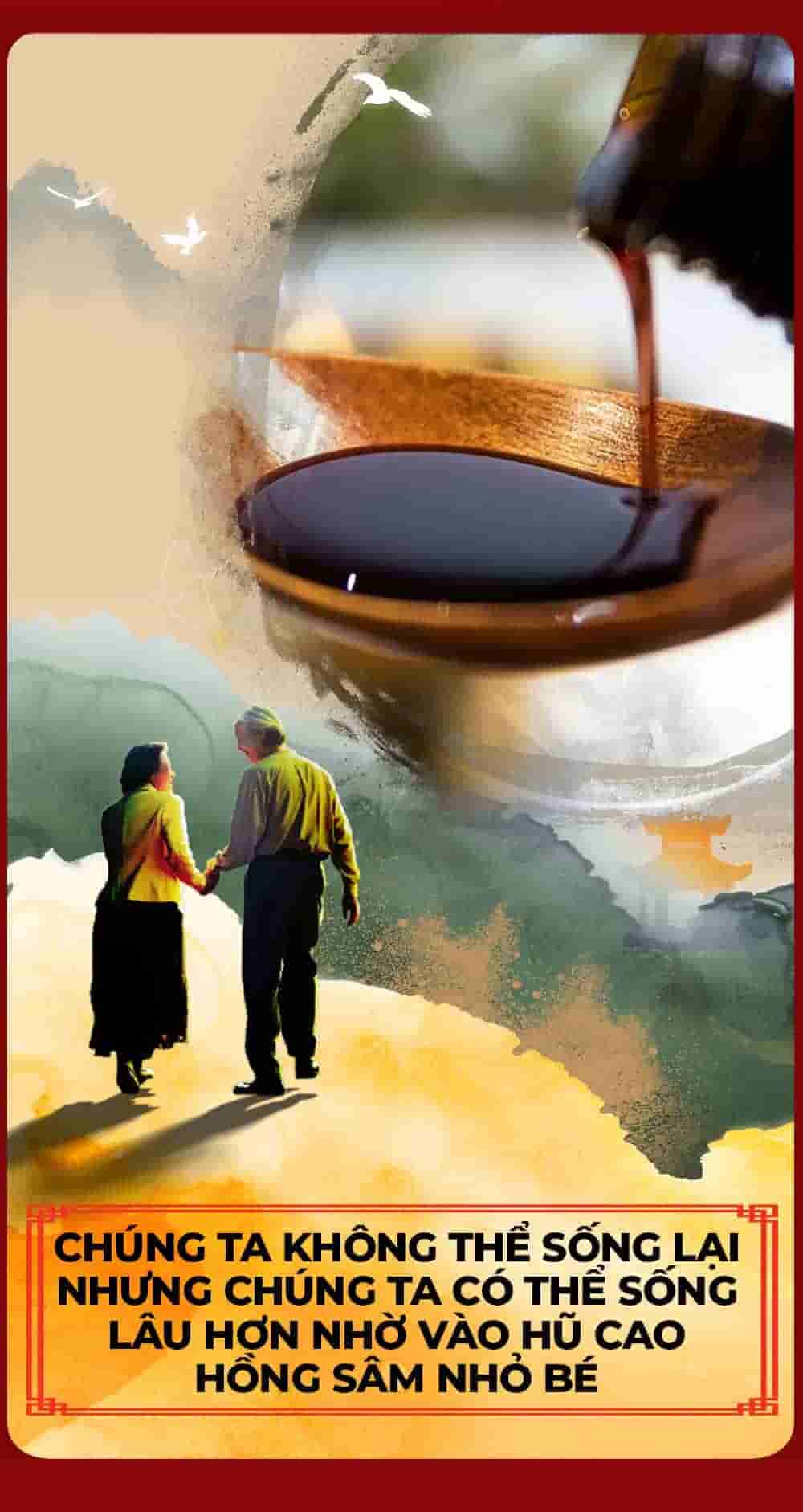 Cao Hồng Sâm 365 Hàn Quốc 6 Năm Tuổi Hộp 2 Lọ x 240g