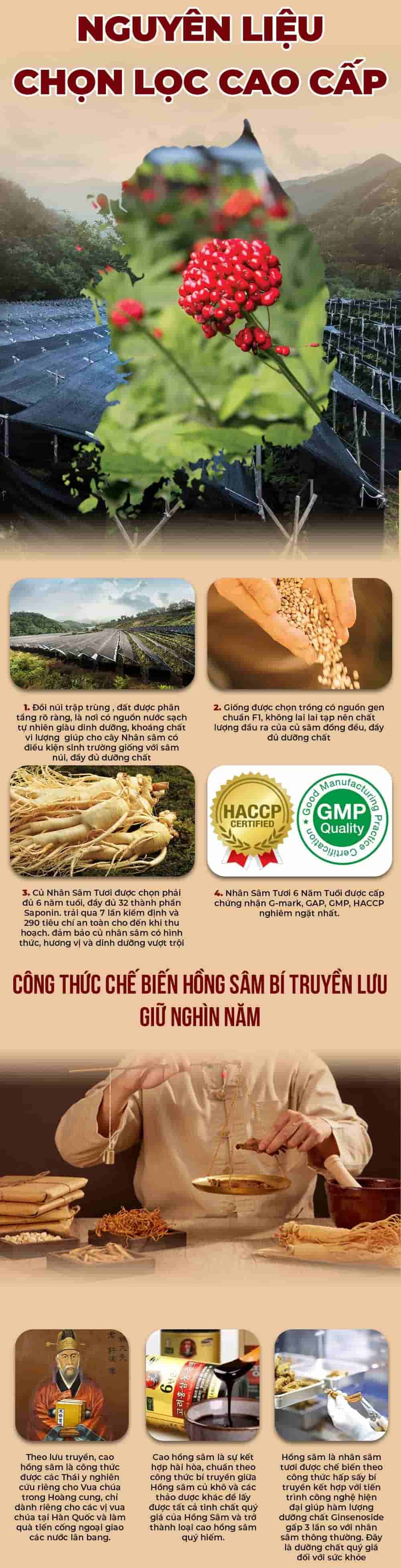 Cao Hồng Sâm 365 Hàn Quốc 6 Năm Tuổi Hộp 4 Lọ x 240g