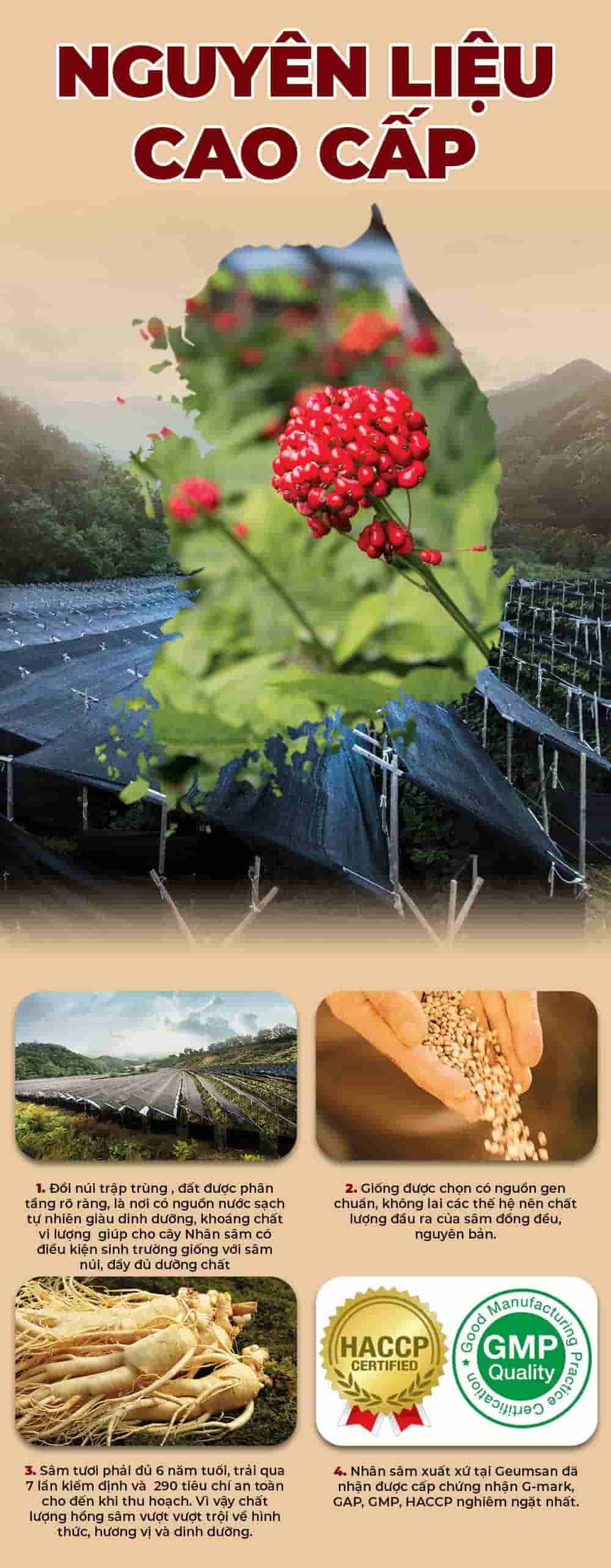 Cao Hồng Sâm Chính Phủ KGC Extract Mild Lọ 100g