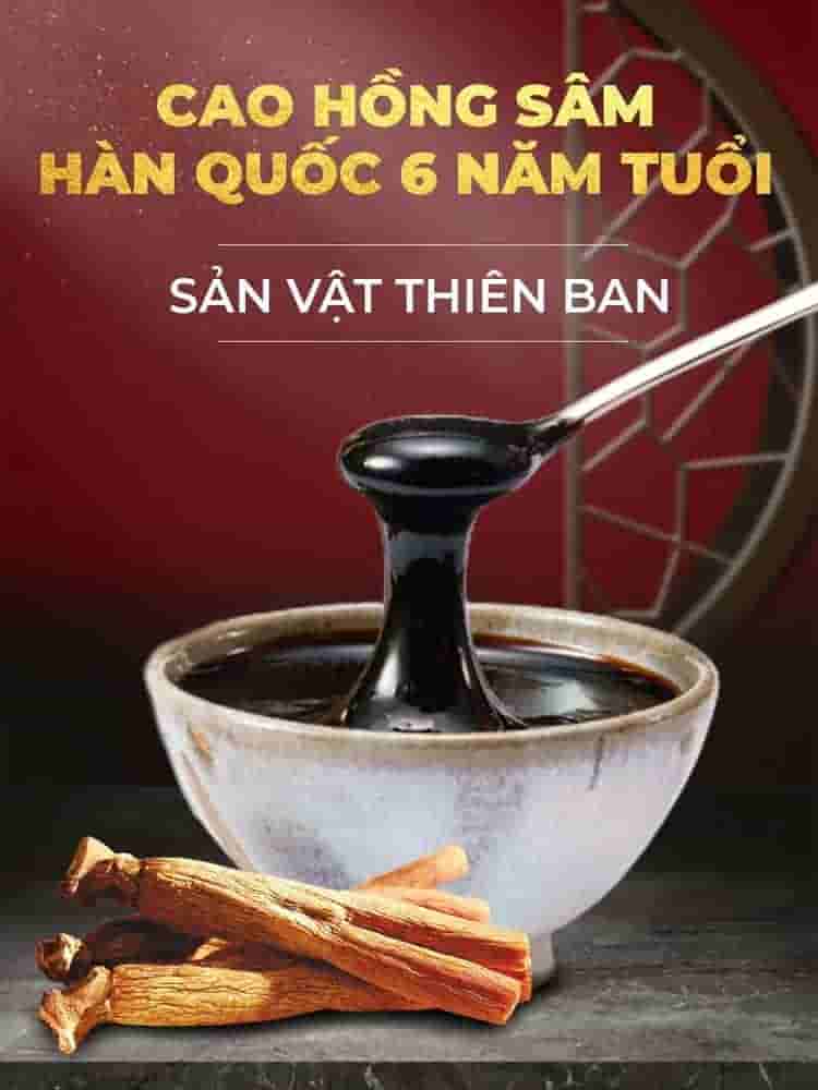 Cao Hồng Sâm Đông Trùng Hạ Thảo 365 Hàn Quốc Hộp 2 Lọ