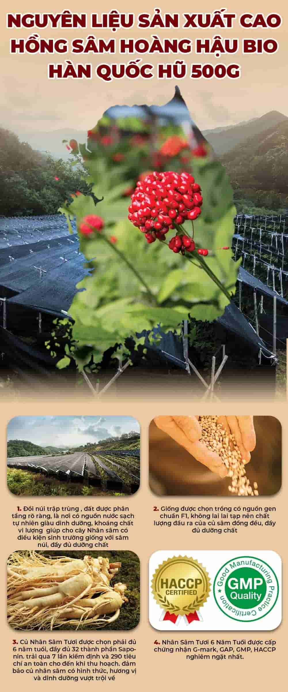 Cao Hồng Sâm Hoàng Hậu Bio Hàn Quốc Đặc Biệt Hũ 500g