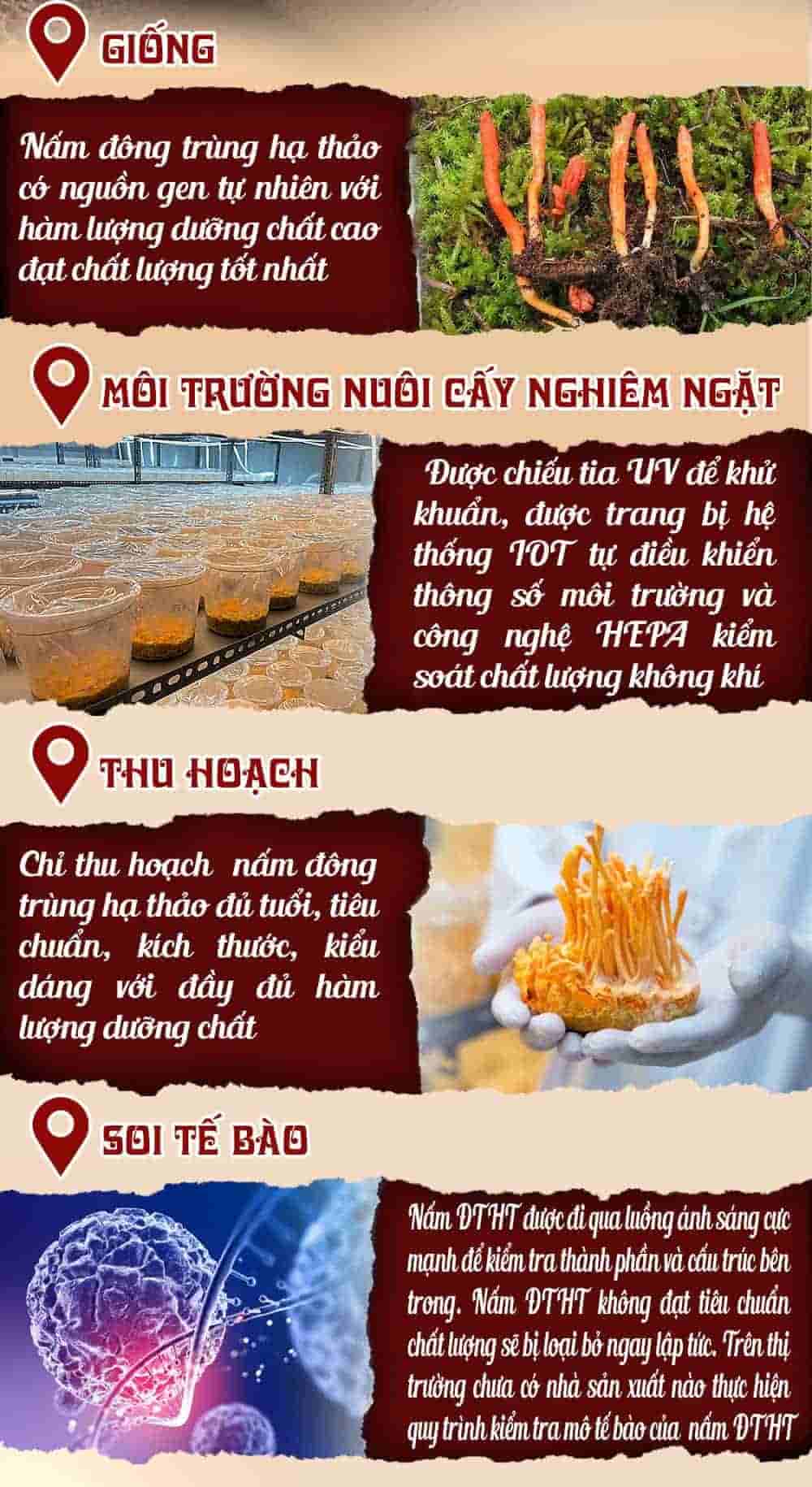 Nước Đông Trùng Cát Cánh Táo Đỏ KGA Hàn Quốc 30 gói x 70ml