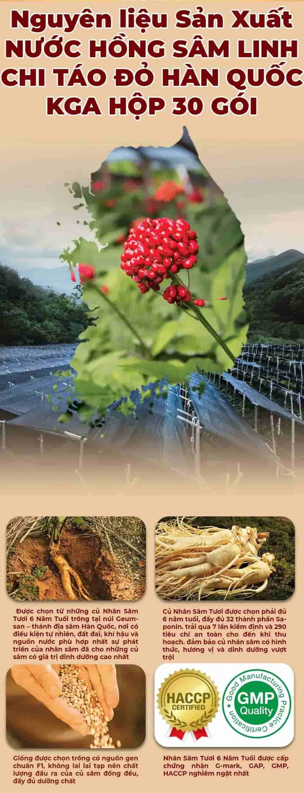 Nước Hồng Sâm Linh Chi Táo Đỏ Hàn Quốc KGA Hộp 30 Gói