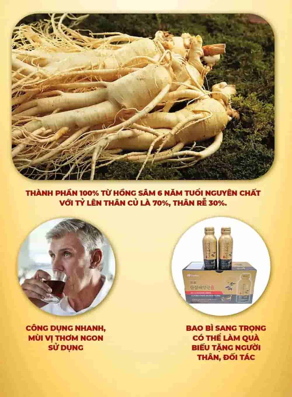 Nước Hồng Sâm Núi Wild Ginseng Drink Hàn Quốc Hộp 10 Chai x 100ml