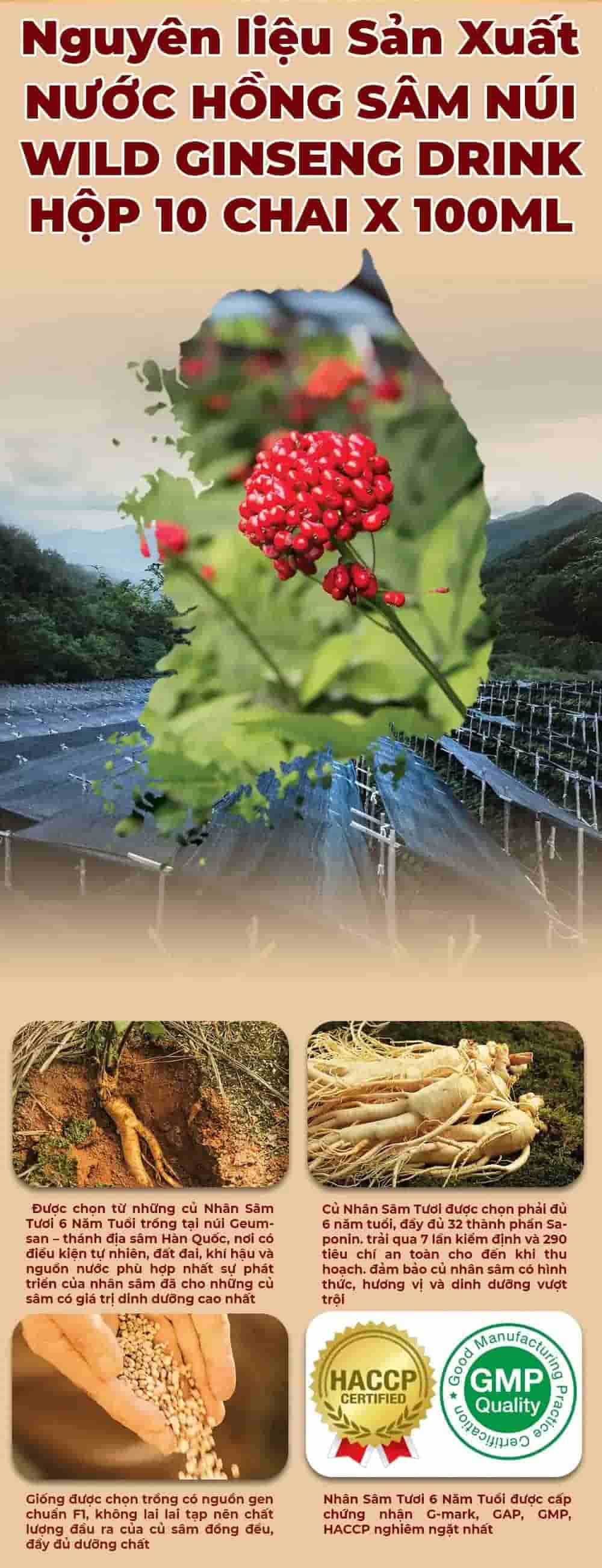 Nước Hồng Sâm Núi Wild Ginseng Drink Hàn Quốc Hộp 10 Chai x 100ml