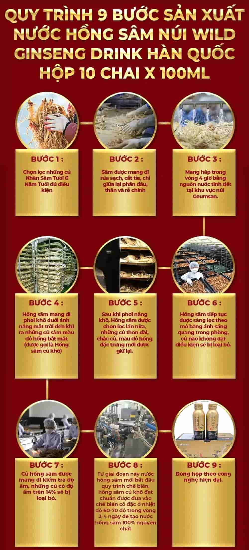 Nước Hồng Sâm Núi Wild Ginseng Drink Hàn Quốc Hộp 10 Chai x 100ml