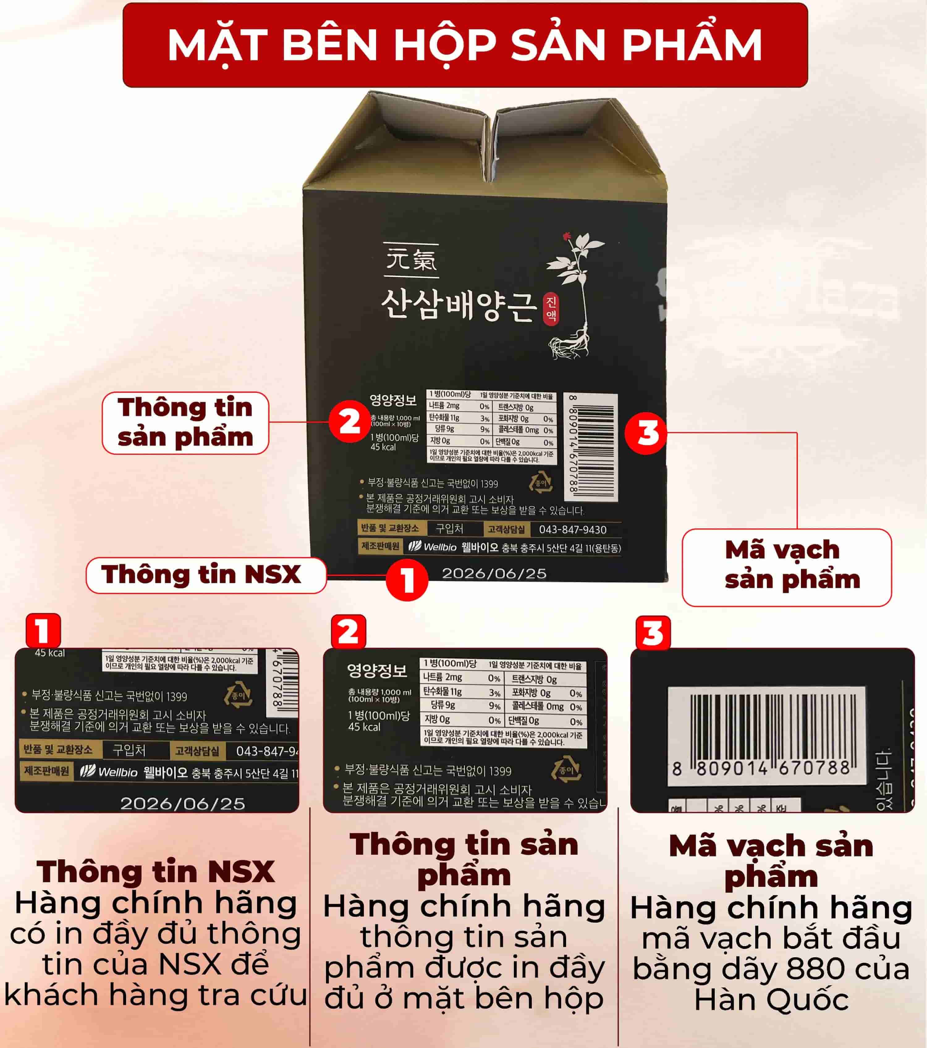 Nước Hồng Sâm Núi Wild Ginseng Drink Hàn Quốc Hộp 10 Chai x 100ml