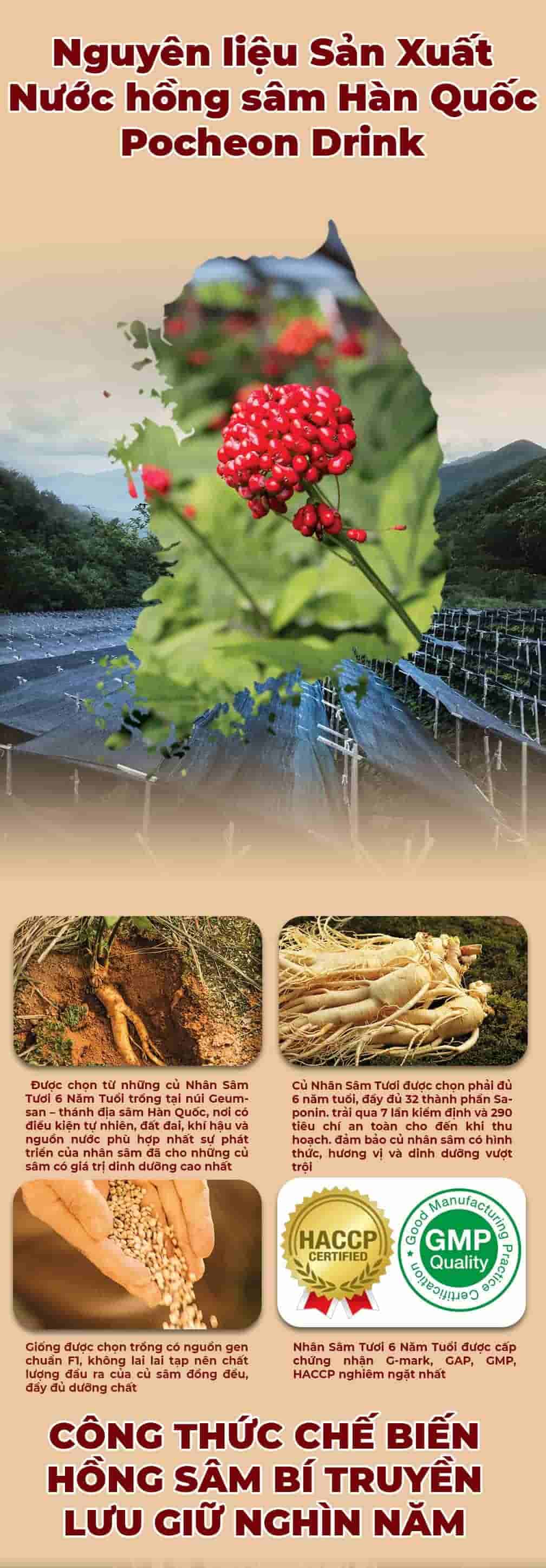 Nước Hồng Sâm Pocheon Drink Hàn Quốc Hộp 30 Gói x 70ml