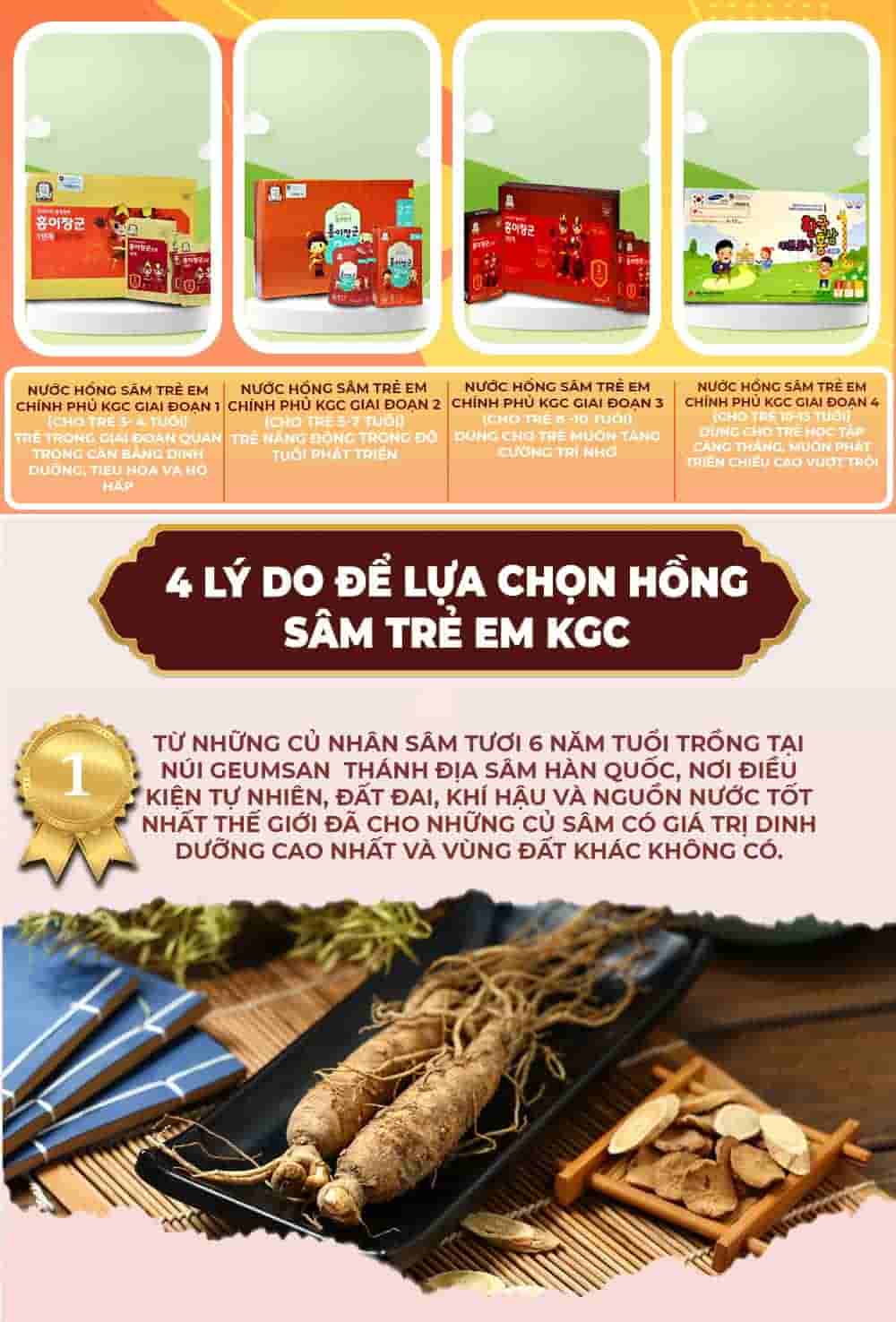 Nước Hồng Sâm Trẻ Em 6-13 Tuổi Cao Cấp Chính Hãng