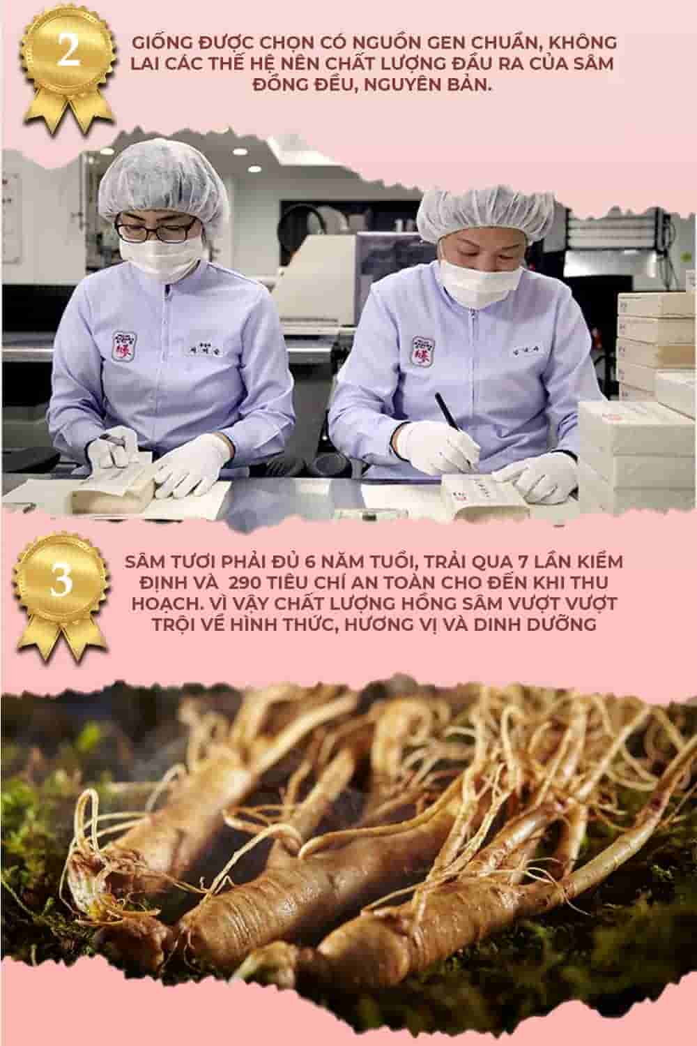 Nước Hồng Sâm Trẻ Em 6-13 Tuổi Cao Cấp Chính Hãng