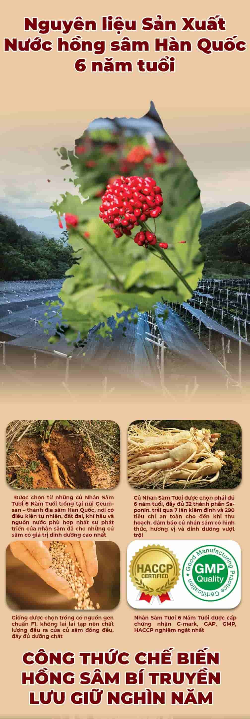 Nước Hồng Sâm Trẻ Em Chunho Cho Bé Từ 3 Tuổi Hộp 30 Gói