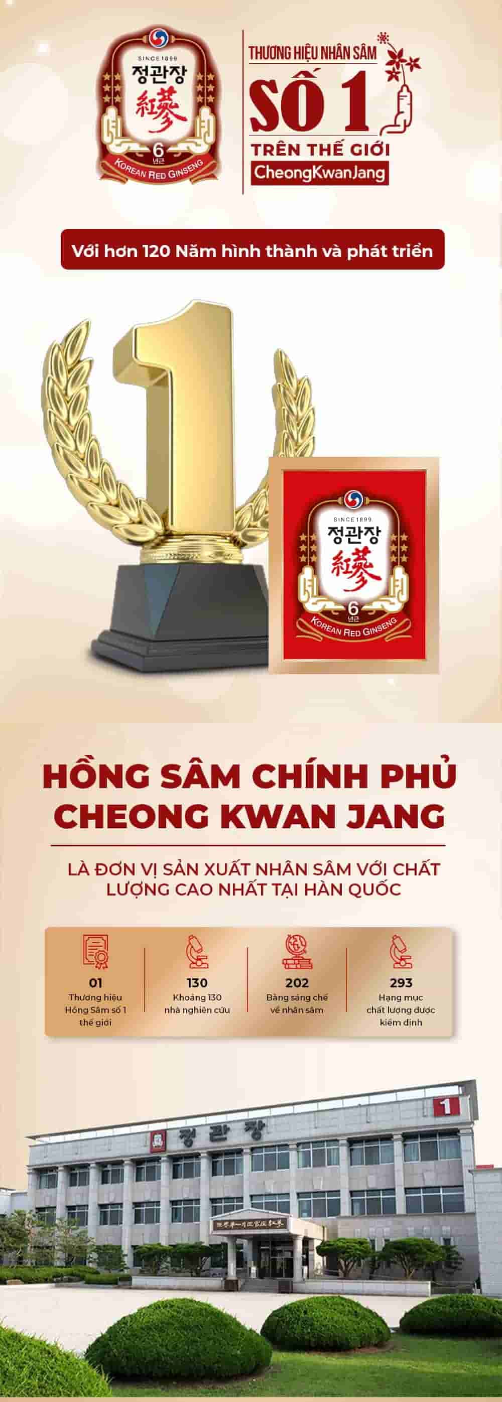 Thiên Sâm Củ Khô Chính Phủ KGC Hộp Thiếc 300g Số 30