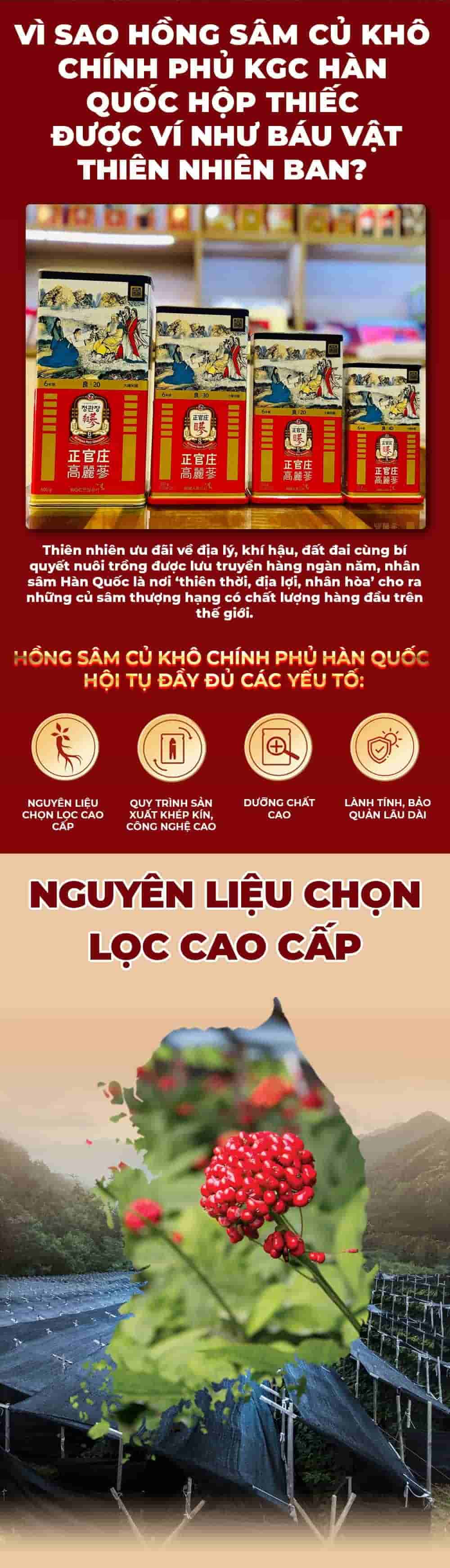 Thiên Sâm Củ Khô Chính Phủ KGC Hộp Thiếc 300g Số 30