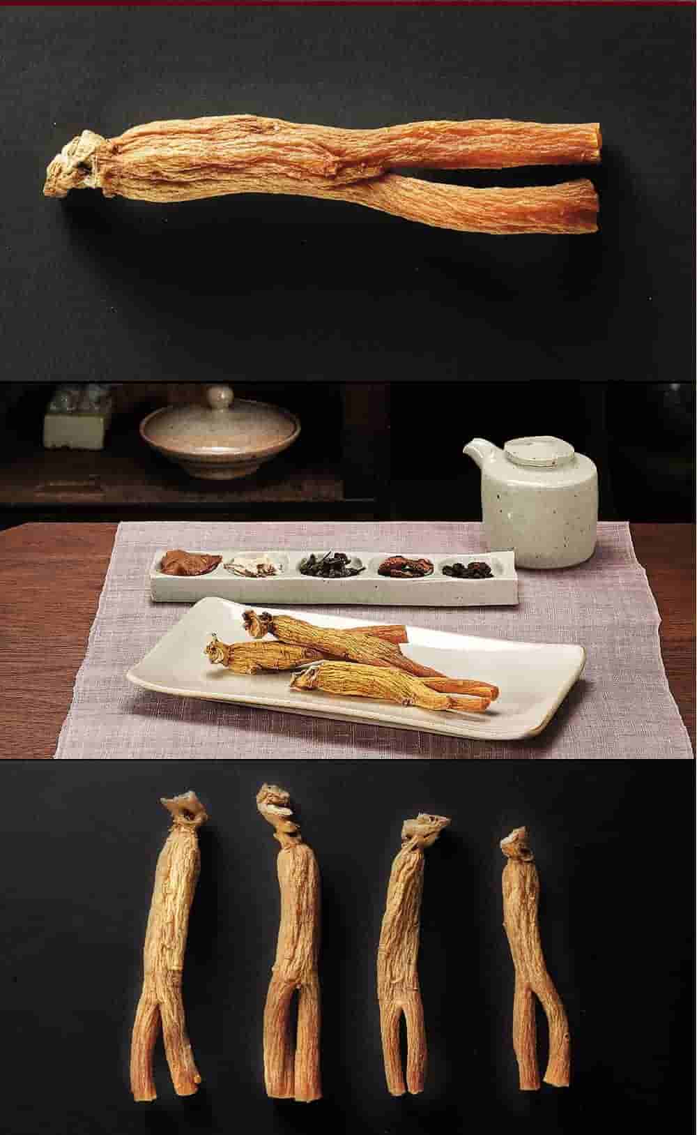 Thiên Sâm Củ Khô Chính Phủ KGC Hộp Thiếc 300g Số 30