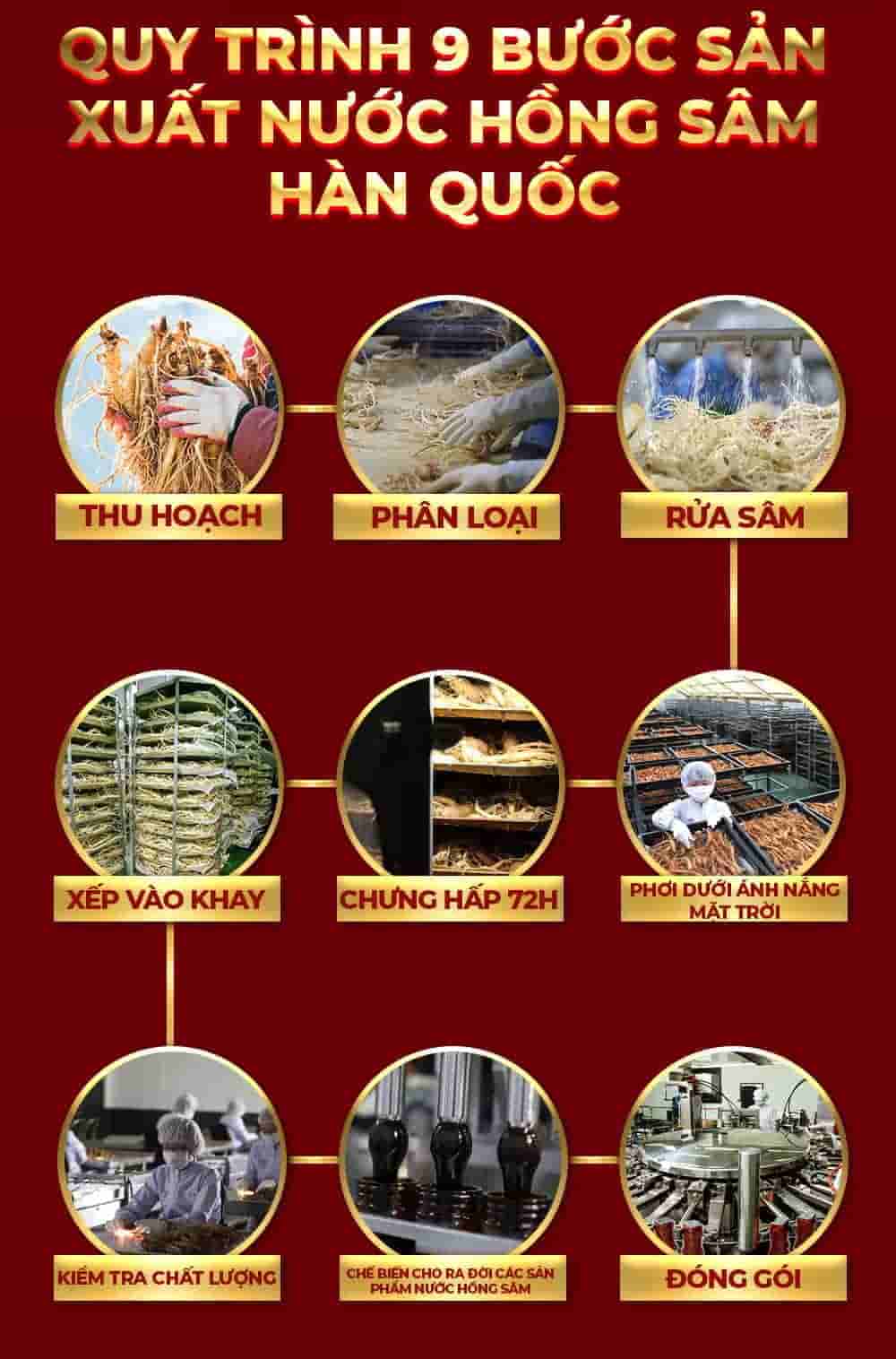 Tinh Chất Hồng Sâm Chính Phủ Cao Cấp KGC Everytime Balance Cao Cấp