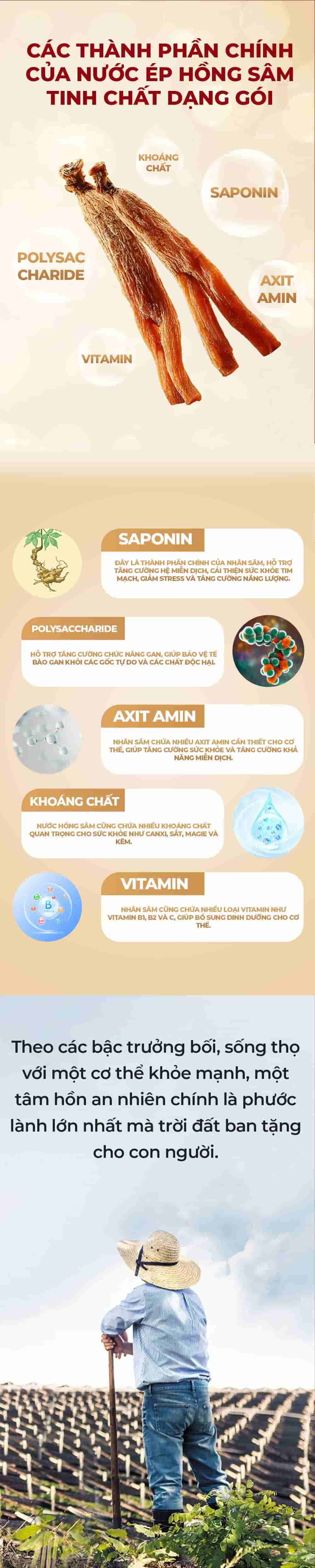 Tinh Chất Hồng Sâm Chính Phủ Cao Cấp KGC Everytime Balance Cao Cấp