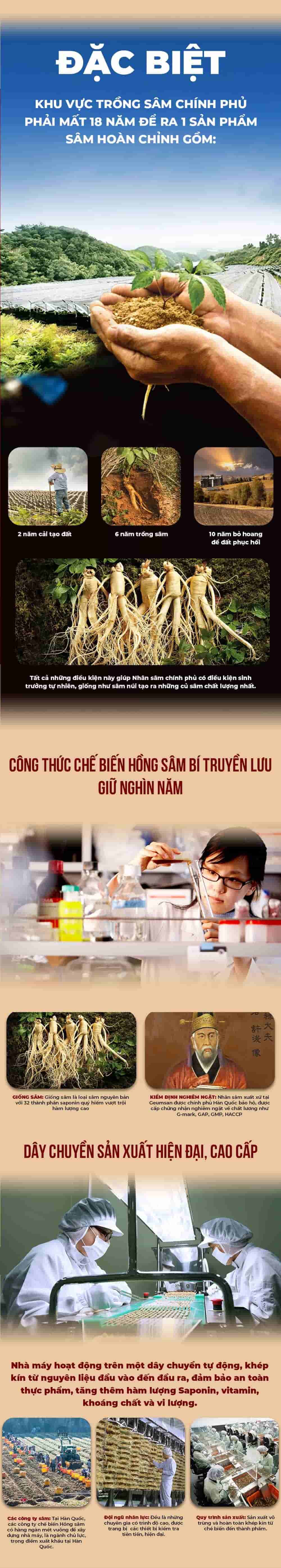 Tinh Chất Hồng Sâm Chính Phủ Cao Cấp KGC Everytime Balance Cao Cấp